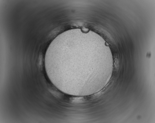 X0000102340132200808291146