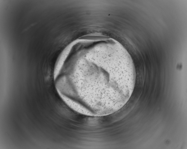 X0000102340134200808291146