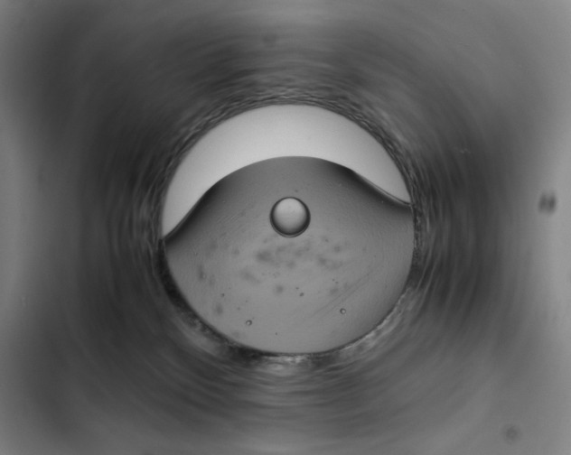 X0000102340136200808291146