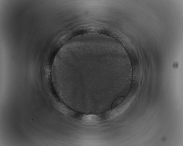 X0000102340137200808291146