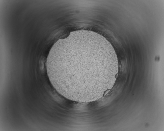 X0000102340138200808291146