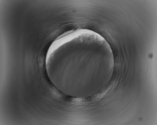 X0000102340139200808291146
