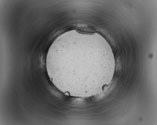 X0000102340140200808291146