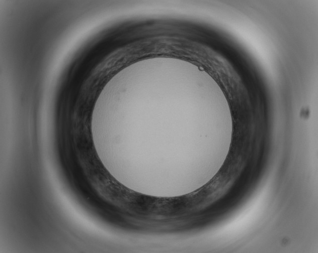 X0000102340142200808291146