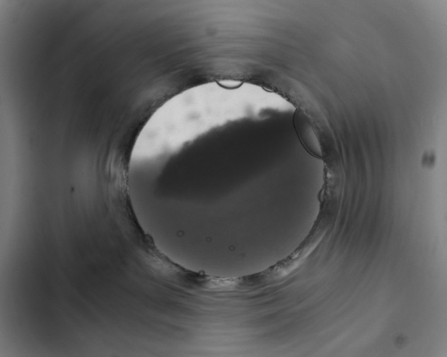 X0000102340143200808291146