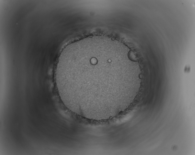 X0000102340144200808291146