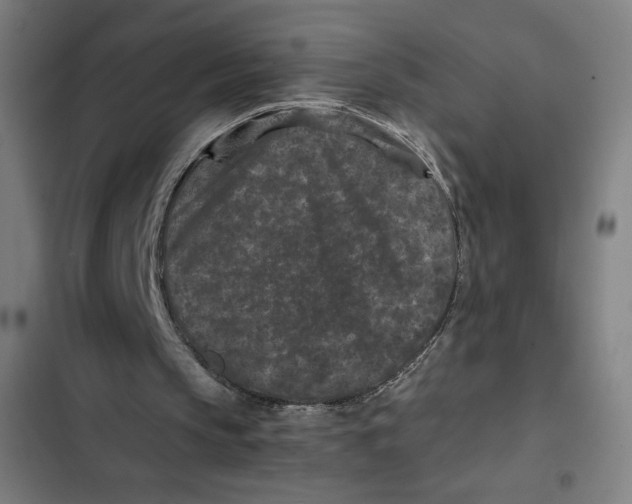 X0000102340145200808291145