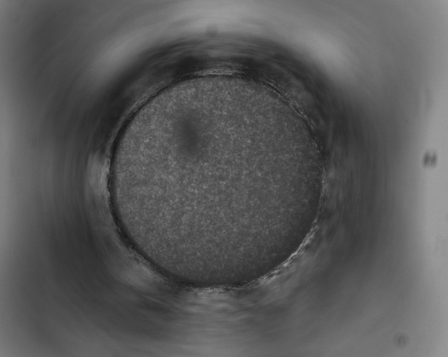 X0000102340146200808291145