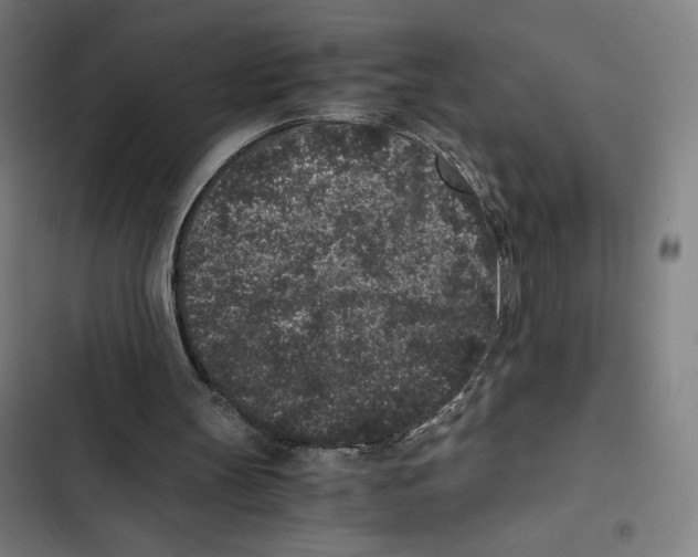 X0000102340147200808291145