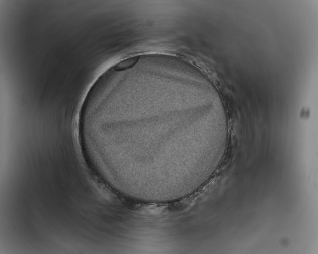 X0000102340148200808291145