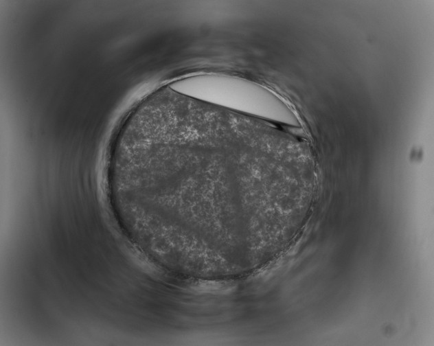 X0000102340149200808291145