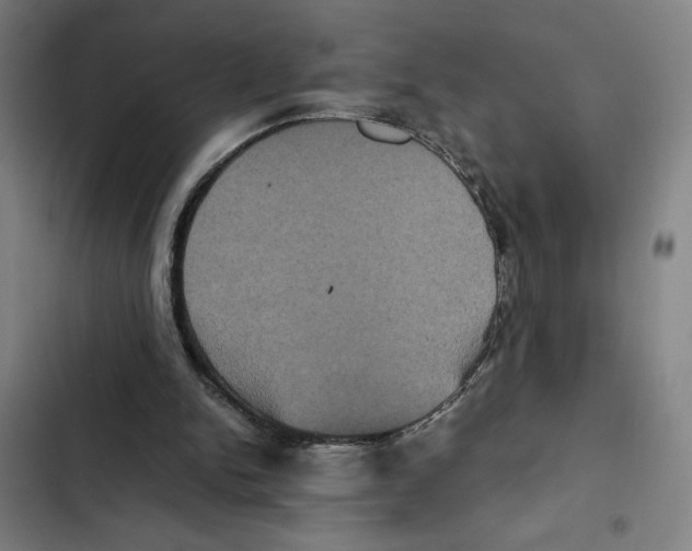 X0000102340150200808291145