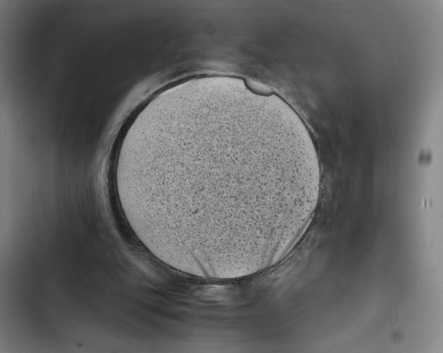X0000102340151200808291145