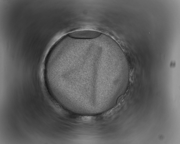 X0000102340152200808291145