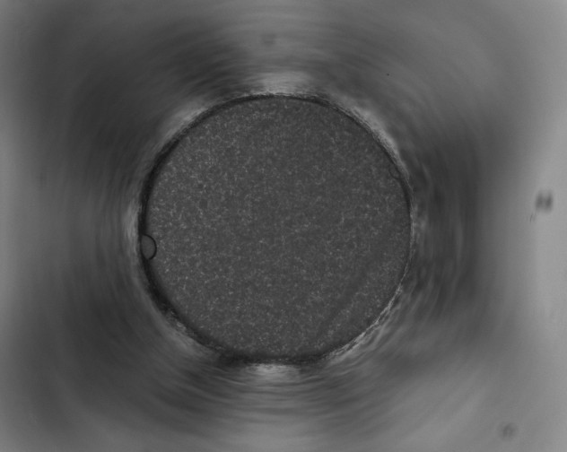 X0000102340154200808291145