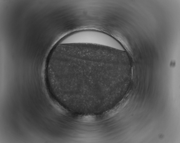 X0000102340156200808291145