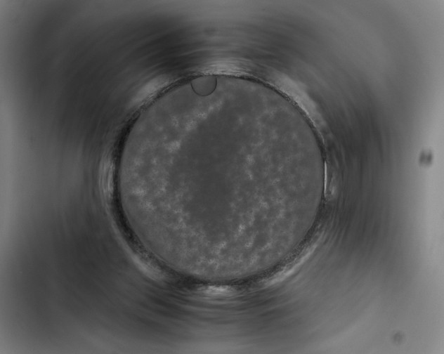 X0000102340157200808291145