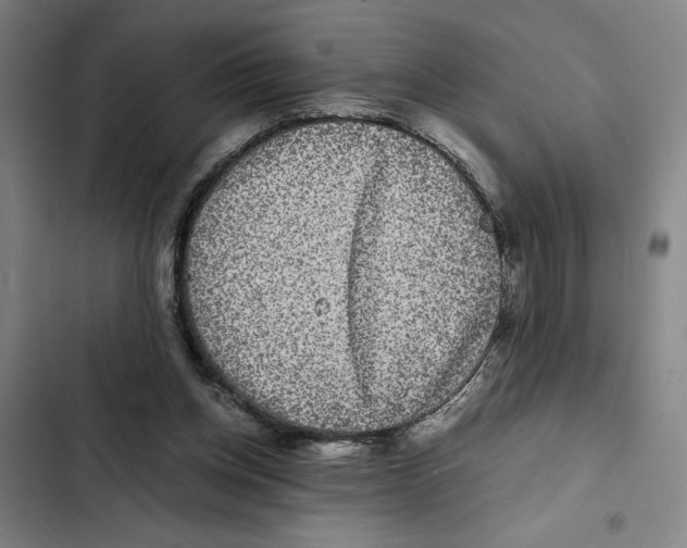 X0000102340158200808291145