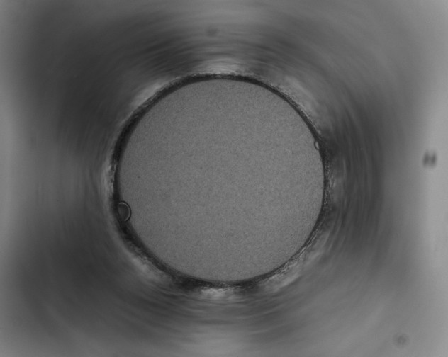 X0000102340160200808291146