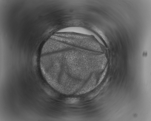 X0000102340161200808291146