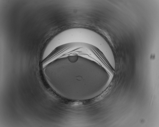 X0000102340162200808291146