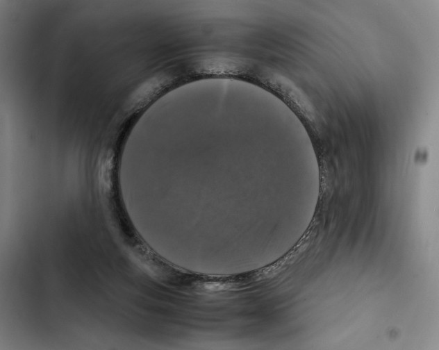 X0000102340163200808291146