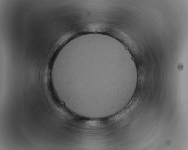 X0000102340164200808291146