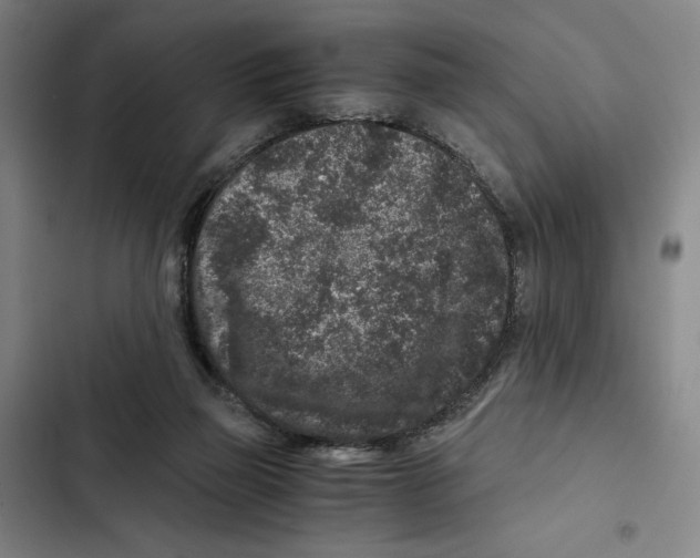 X0000102340165200808291146