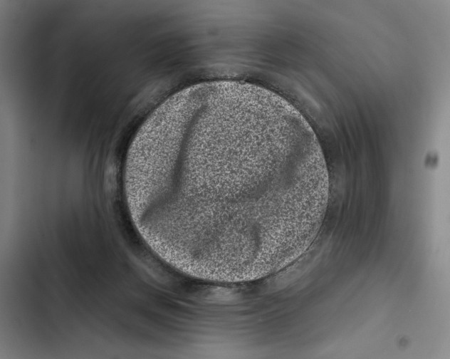 X0000102340166200808291146