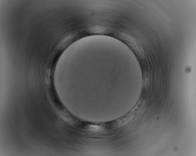 X0000102340167200808291146