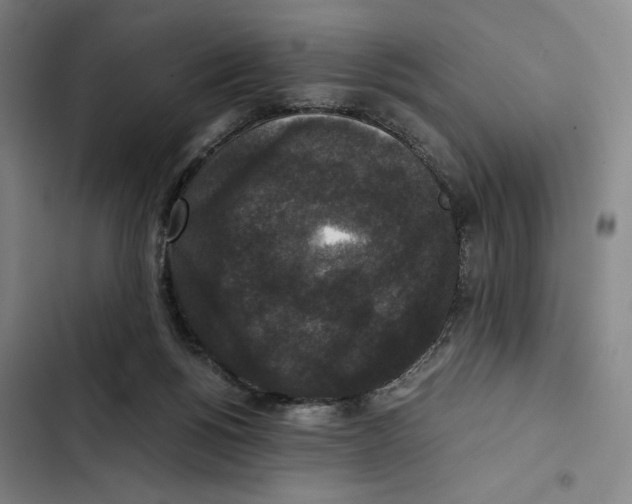 X0000102340168200808291146