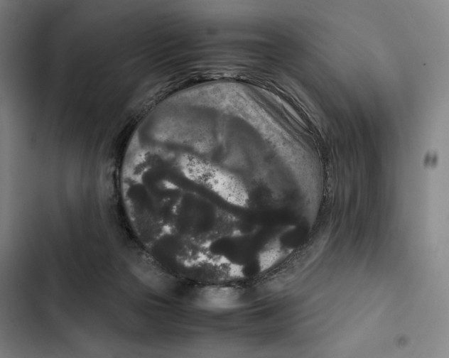 X0000102340169200808291146
