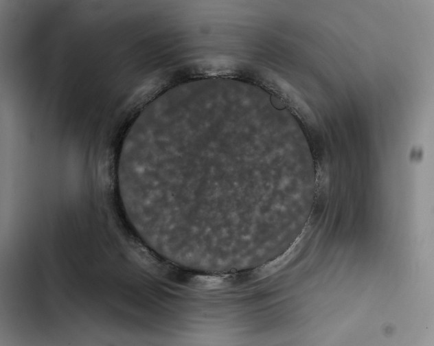 X0000102340170200808291146