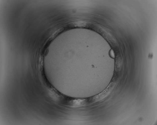 X0000102340172200808291146