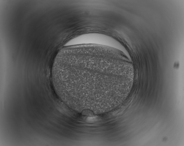 X0000102340173200808291146
