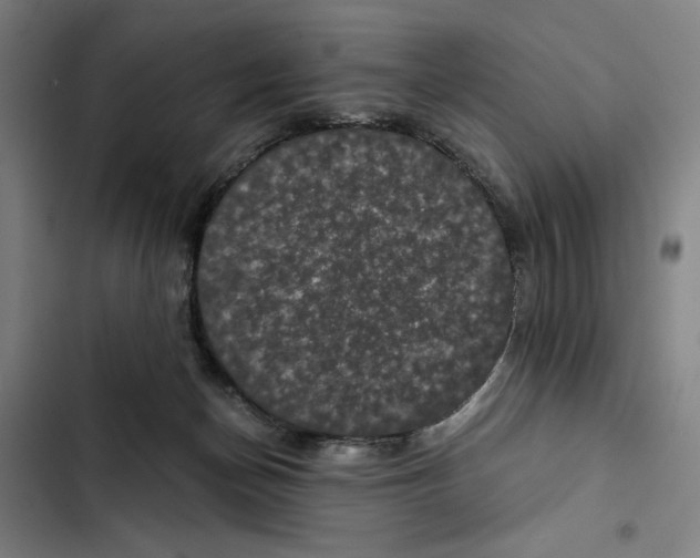 X0000102340174200808291146