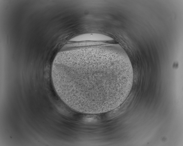 X0000102340175200808291146