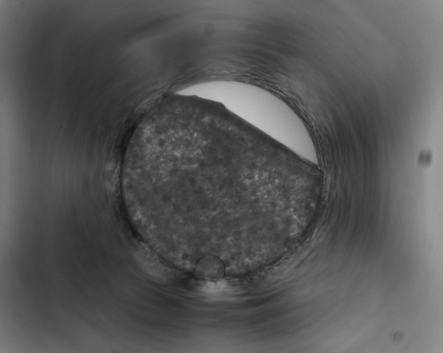 X0000102340177200808291146