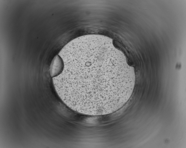 X0000102340178200808291146
