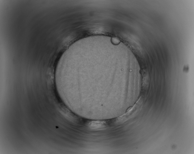 X0000102340179200808291146