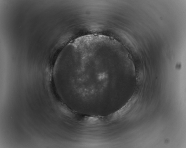 X0000102340180200808291146