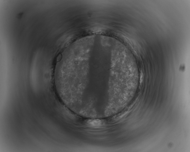 X0000102340181200808291146