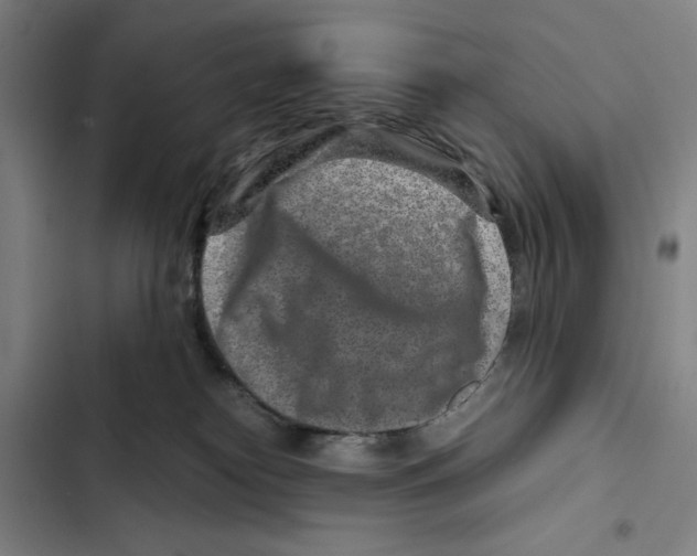 X0000102340182200808291146