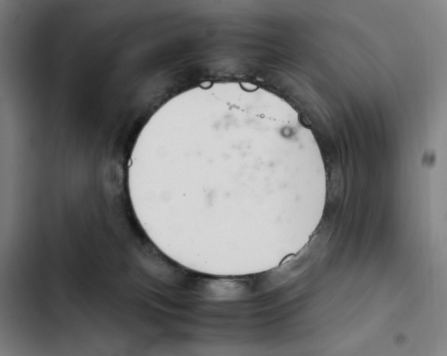 X0000102340183200808291146