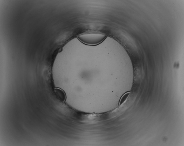 X0000102340184200808291146