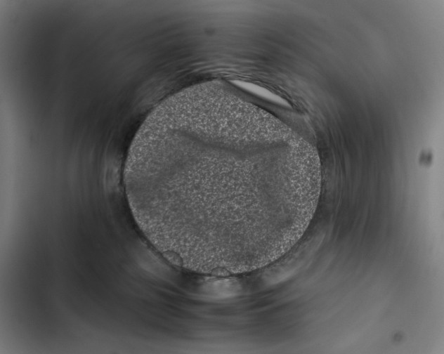 X0000102340185200808291146
