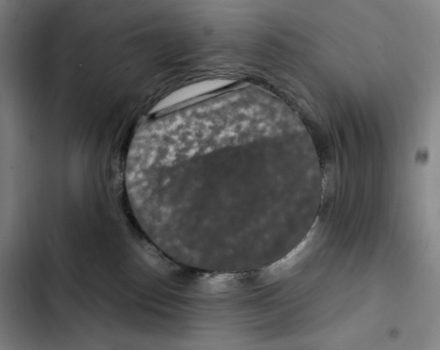 X0000102340186200808291146