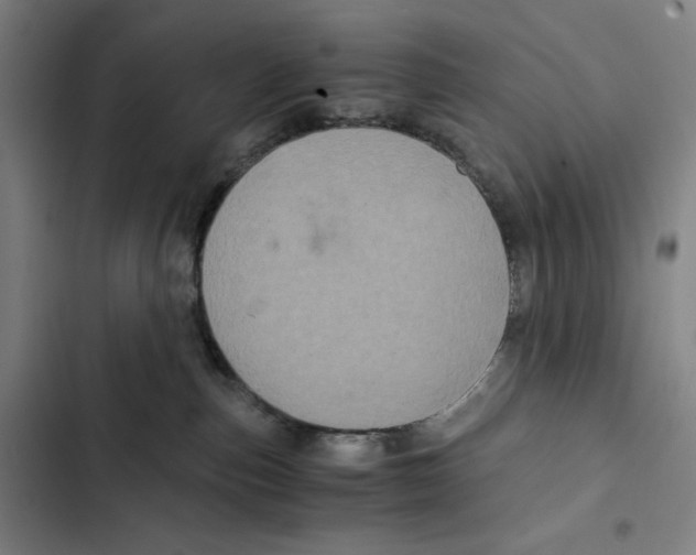 X0000102340187200808291146