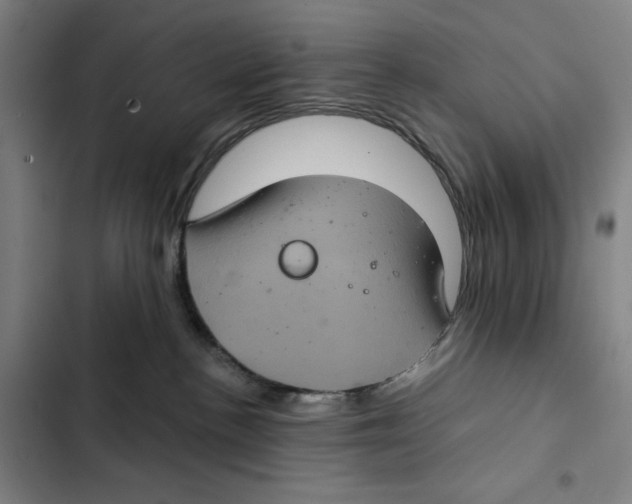X0000102340188200808291146