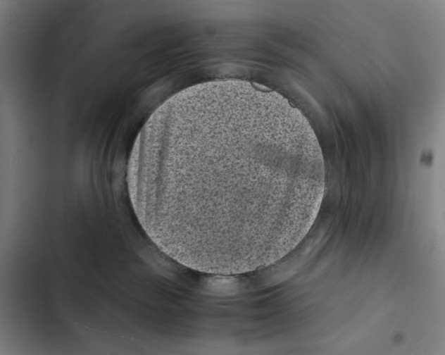 X0000102340189200808291146
